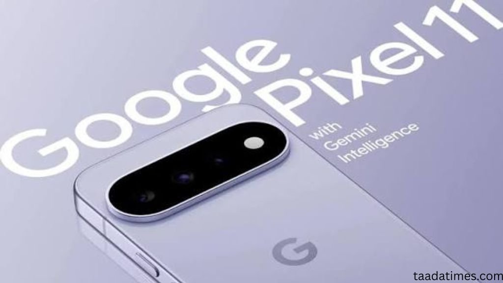 pixel 11 release date india